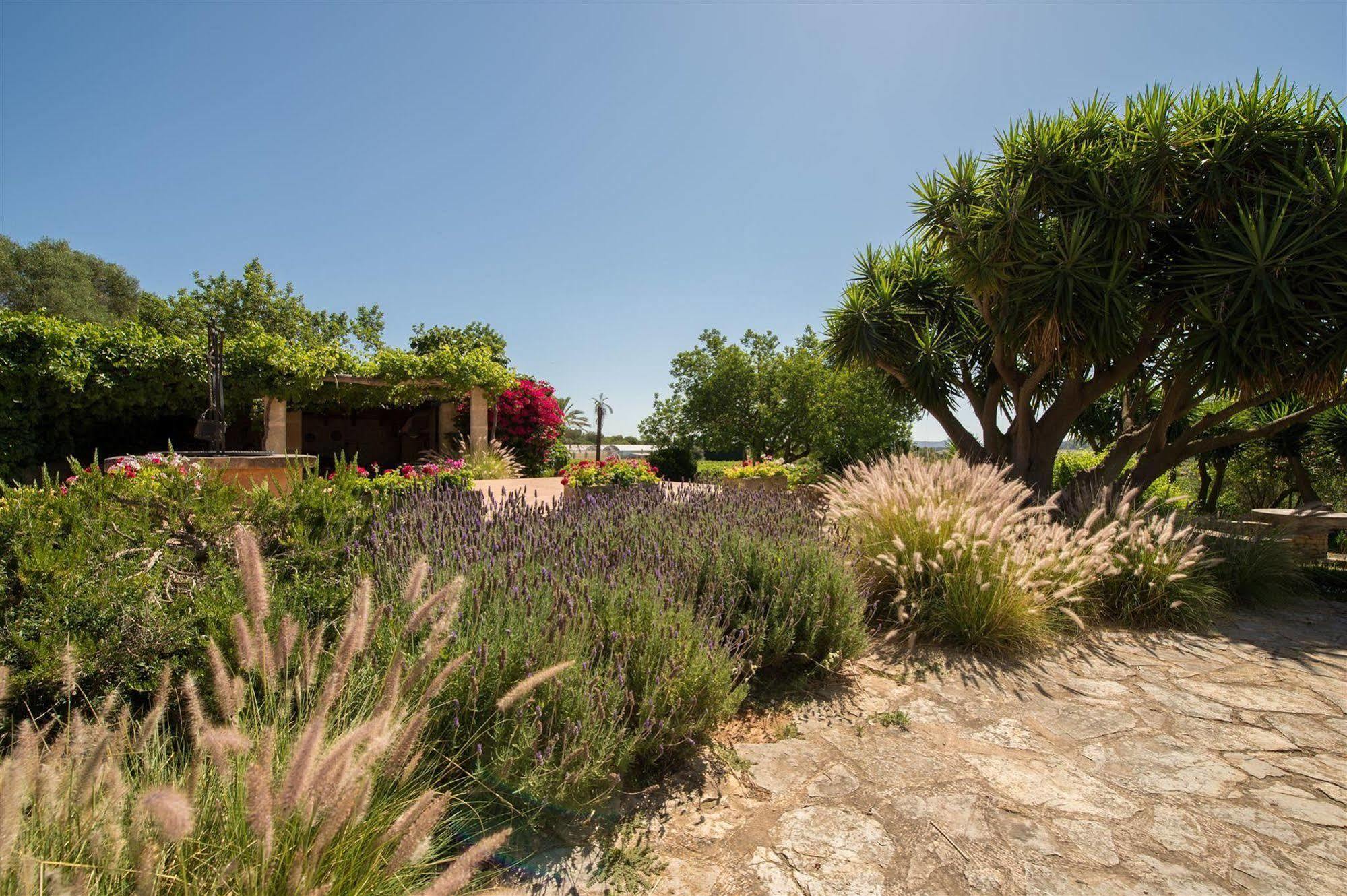 Hotel Rural Can Feliu Porreres Εξωτερικό φωτογραφία